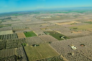 An aerial view of the patchwork of almond orchards in bloom in the Ripon area of San Joaquin County, California.