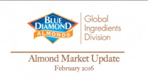 Feb Market Update