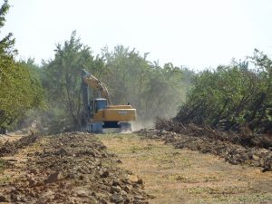 An excavator pulling trees in Tulare County