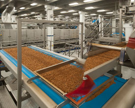 Turlock facility
