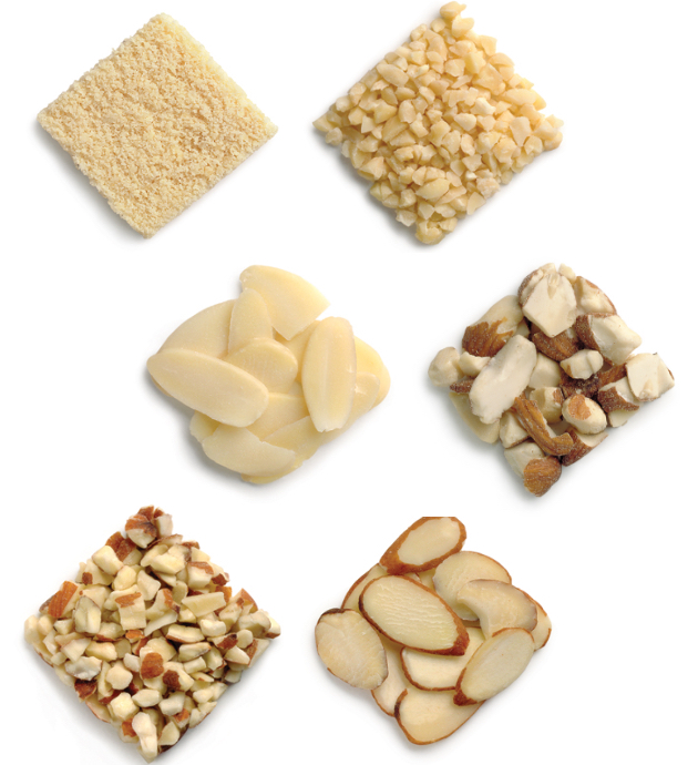 Article 2_almond-forms@2x Article 2_almond-forms@2x